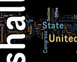 Detail of word cloud of US Constitution