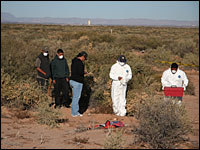 NPR photo of forensic workers in Mexico at a murder scene
