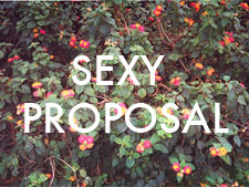 Flowers and text: Sexy Proposal