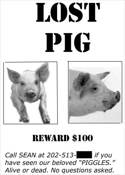 Lost Pig reward poster