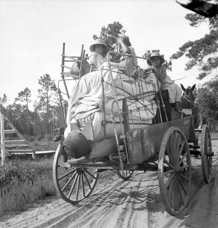 Moving day in the turpentine pine forest country. North Florida 1936; Dorothea Lange, photographer