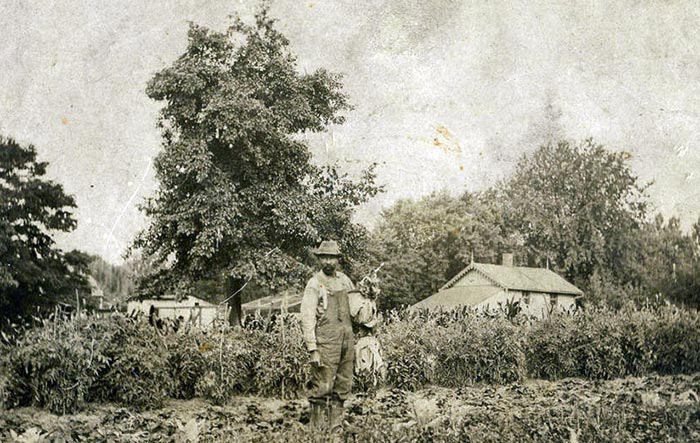 Fountain Hughes, former slave, in his garden