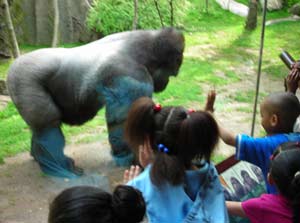 Kids looking thru glass at gorilla