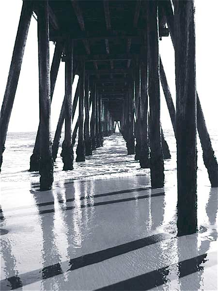 Hildie Golding photo: beneath a pier in the ocean
