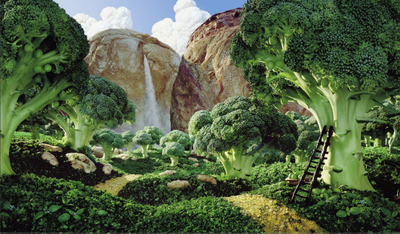 Carl Warner photo of food arranged into a landscape