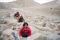 Mt Kailash: Hikers crwaling