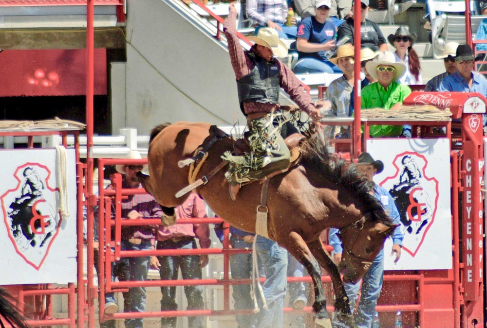 Bronc rider at Cheyenne Frontier Days rodeo