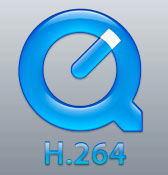 Quicktime H.262 logo