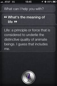 Siri screenshot: What is the menaing of life?