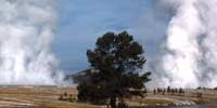 Geysers in Yellowstone Park
