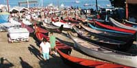 Dozens of canoes on shore