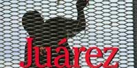 Cover of Juarez book: man climbing over border fence