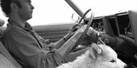 Larry driving with and his dog Bo